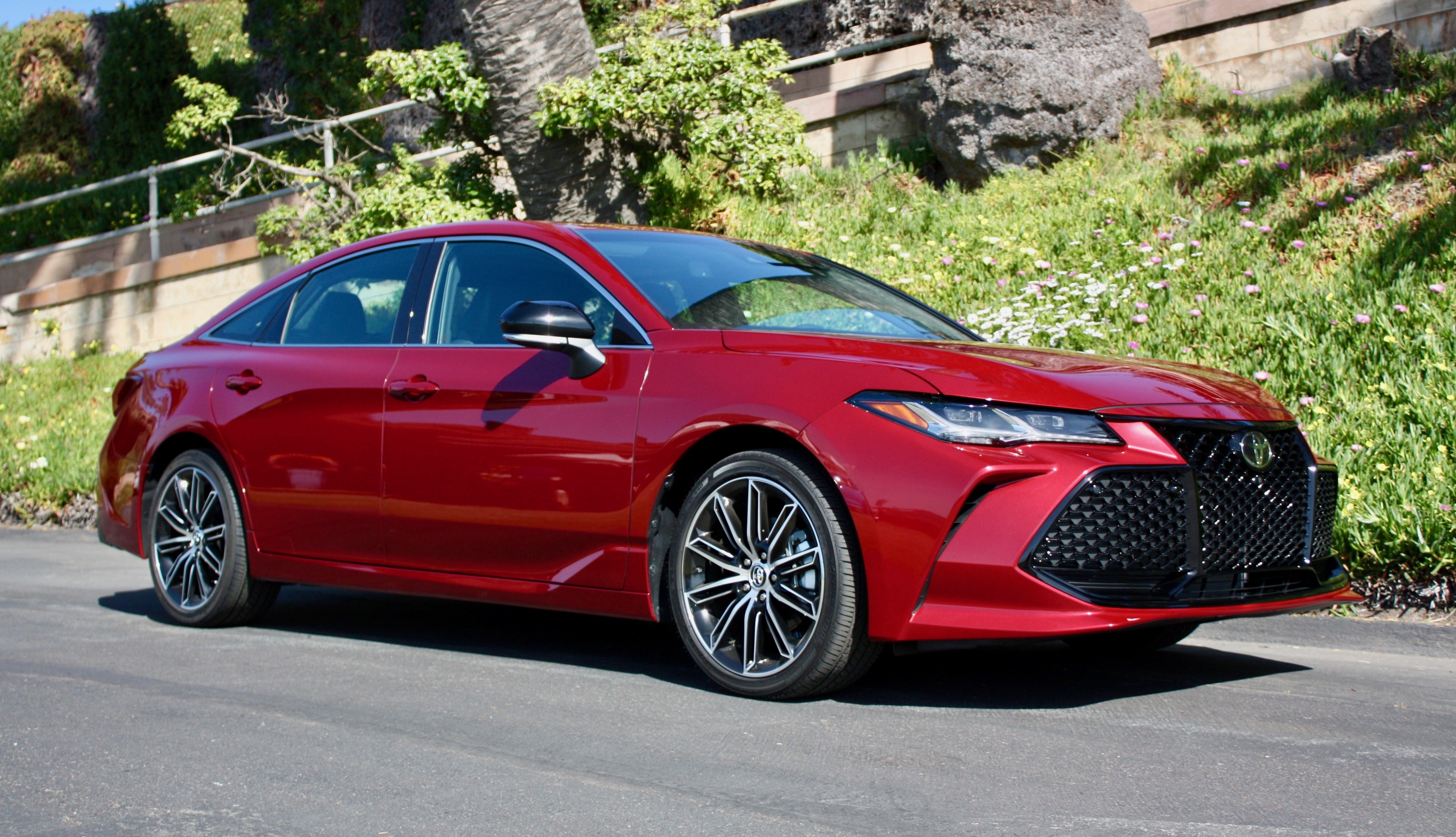 2019 TOYOTA AVALON